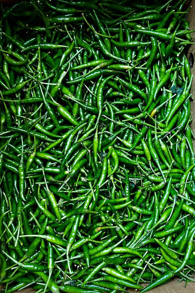 GREEN CHILLI
