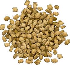 Fenugreek Seeds 3.5 OZS