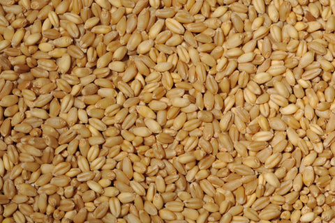 Bulgur Wheat