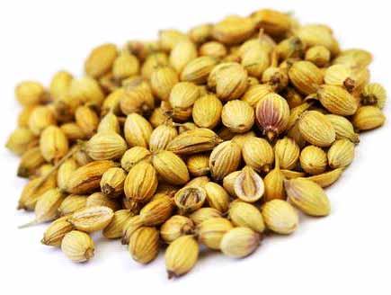 Corriander Seeds 7Ozs