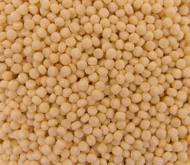 Couscous grain