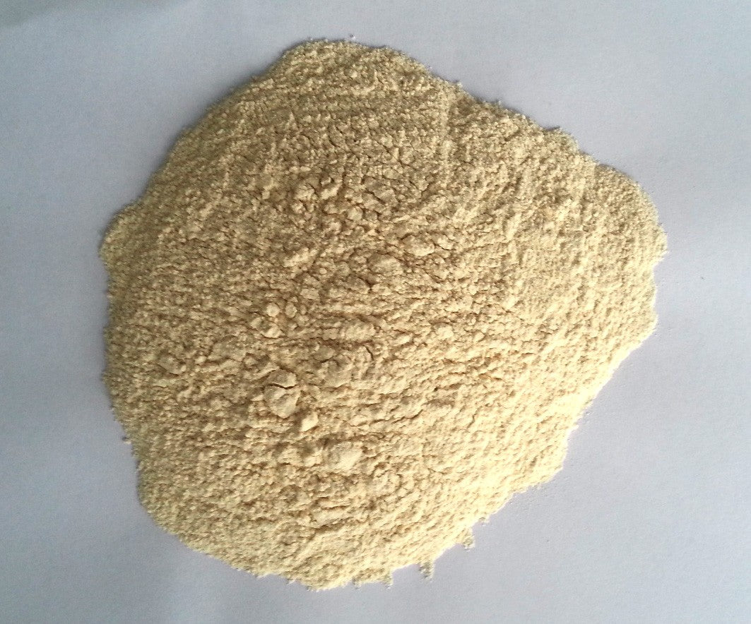 Garlic Powder 3 OZS