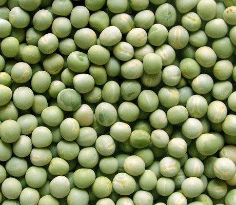Green Vatana 1 lb