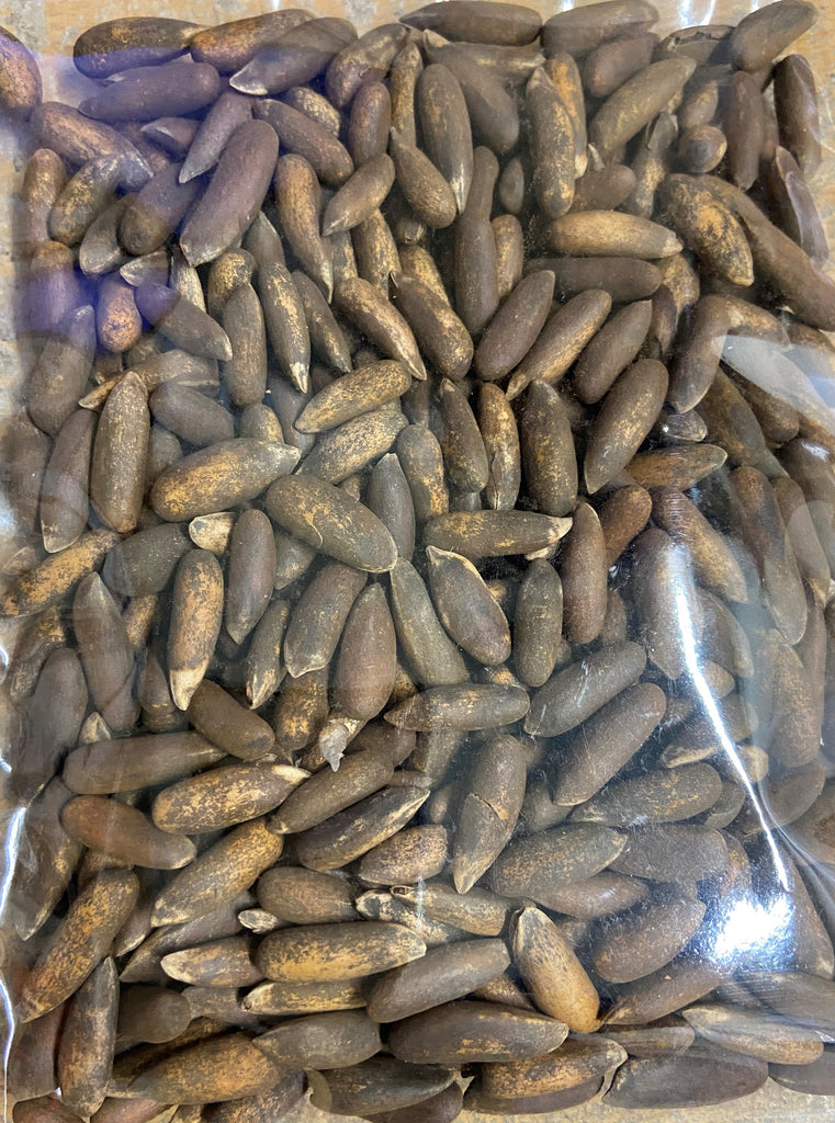 CHILGOZA Pine nuts in shell