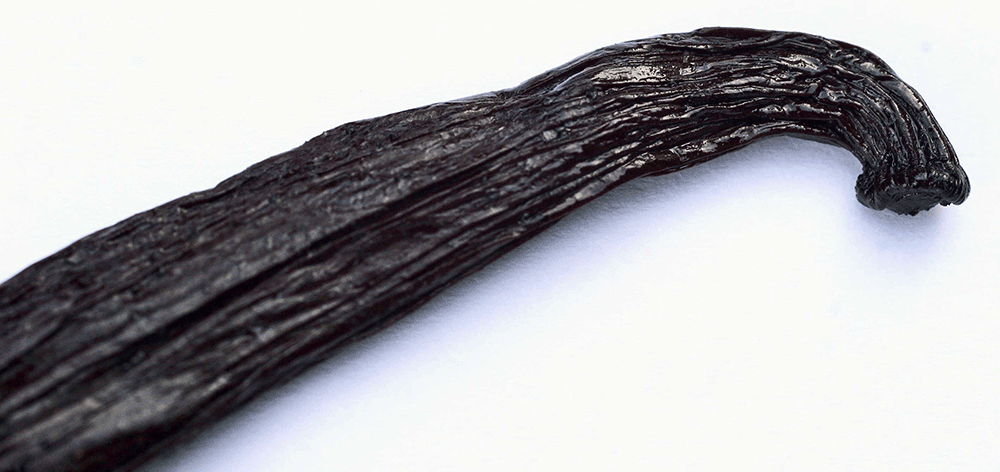 FRESH VANILLA BEANS 1 PC