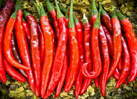 Cayenne Pepper whole 7 Ozs