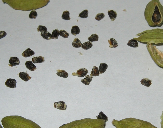Green Cardamom Seed 2 ozs
