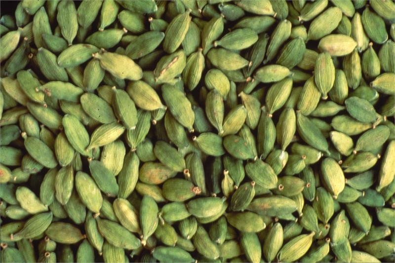 Green Cardamon 10 Ozs